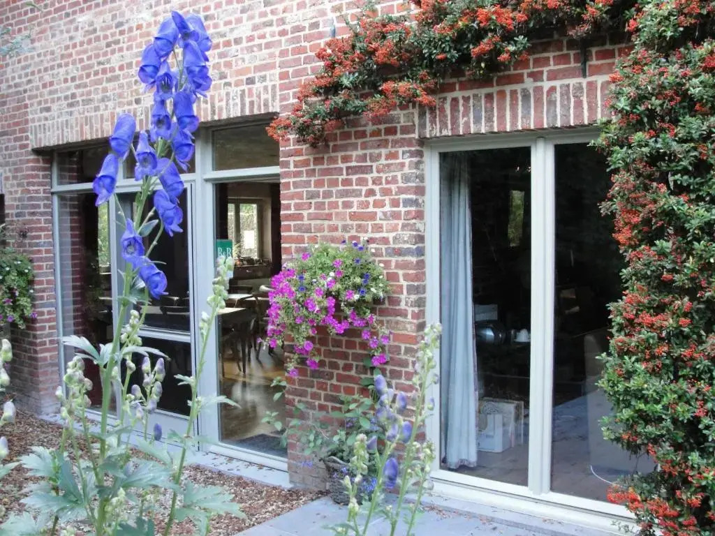 B&B Hedera