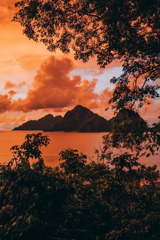 The Birdhouse El Nido - Glamping