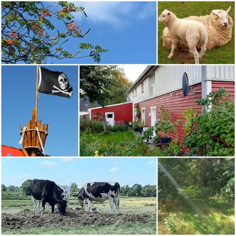 Piratennest Nord