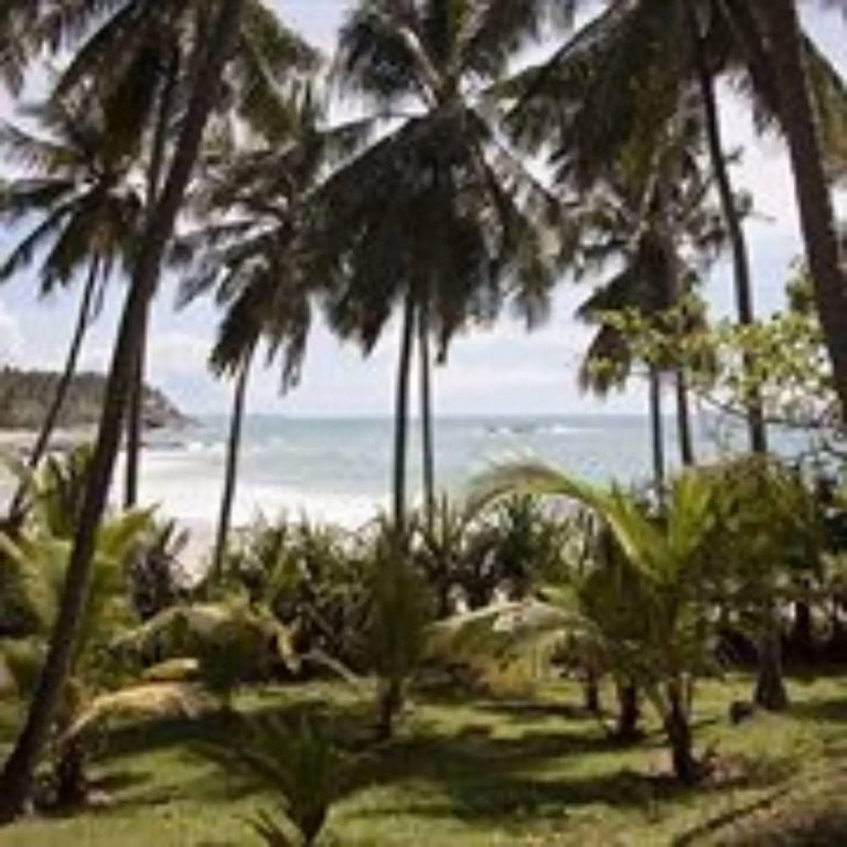 Palm Paradise Cabanas & Villas Beach Resort