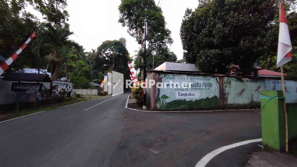 Tangkoko Ranger Homestay