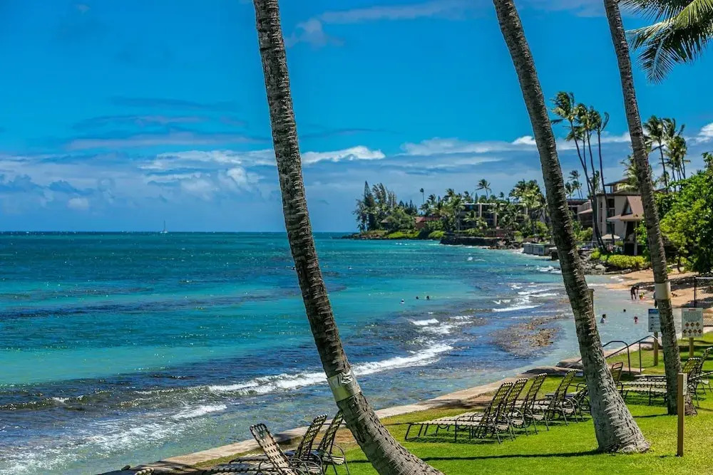 Paki Maui 103
