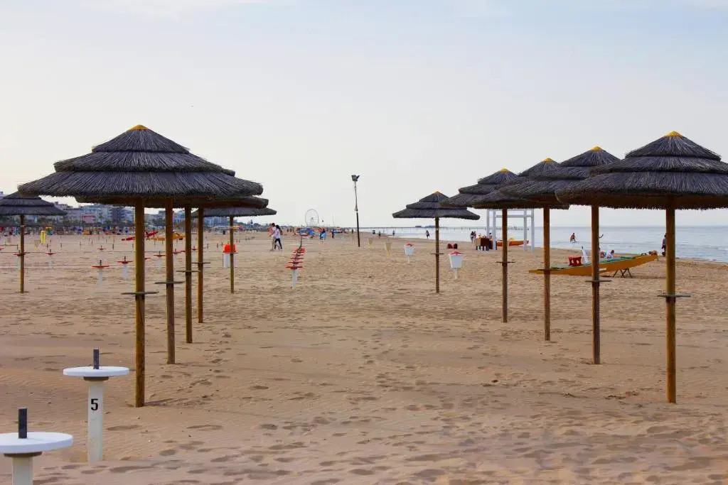 Hotel Amoha