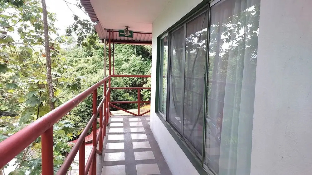 Pura Vida Hostel Manuel Antonio