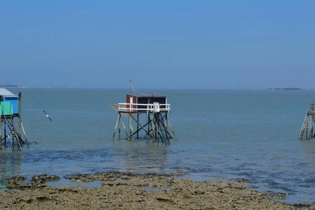 LAcheneau