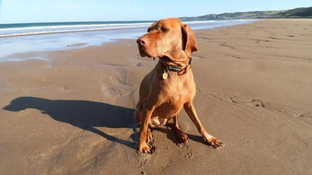 7 Middlecombe - Luxury Apartment at Byron Woolacombe, only 4 minute walk to Woolacombe Beach!