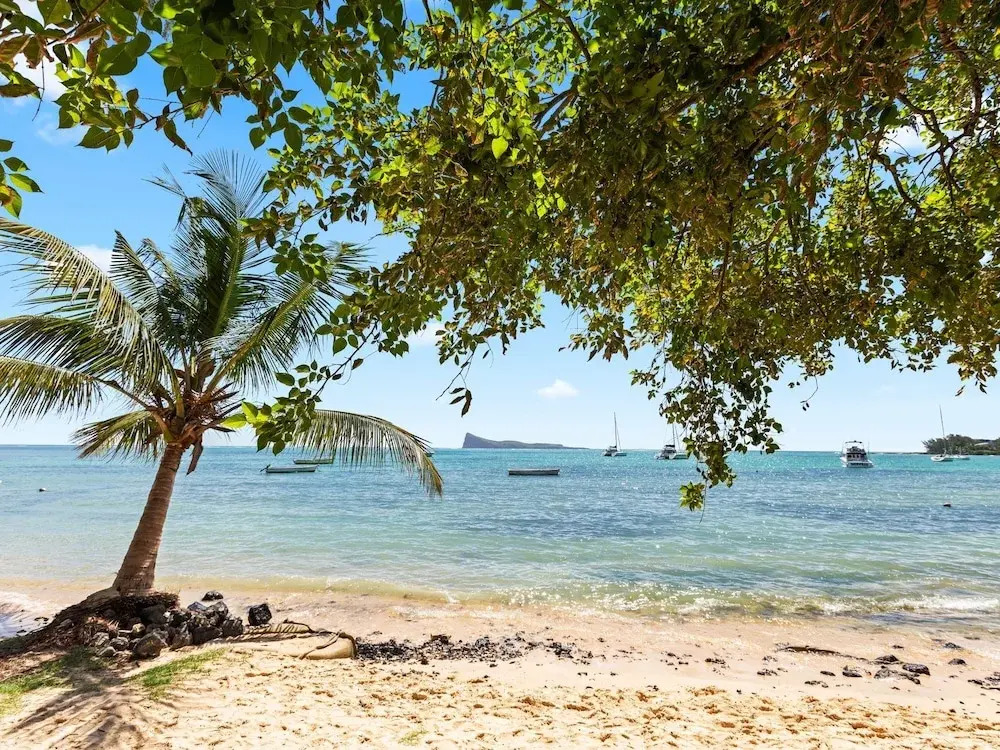 Grand Bay Heights C8