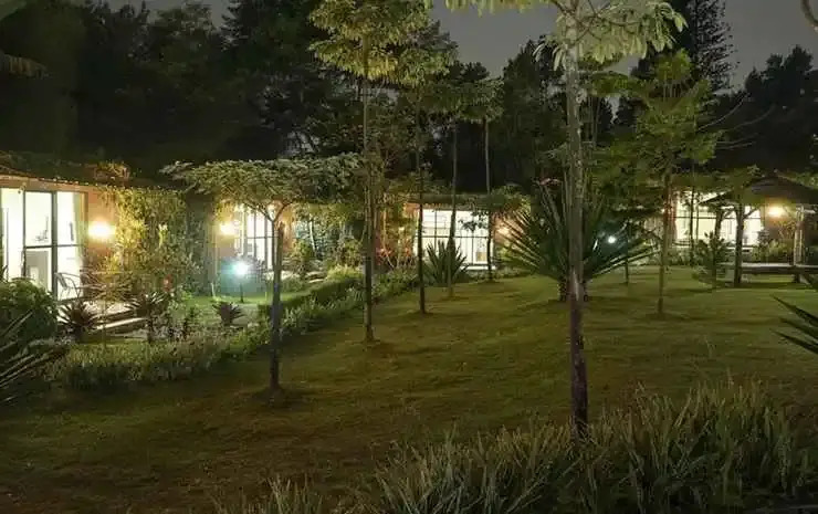 The Forest @cisarua