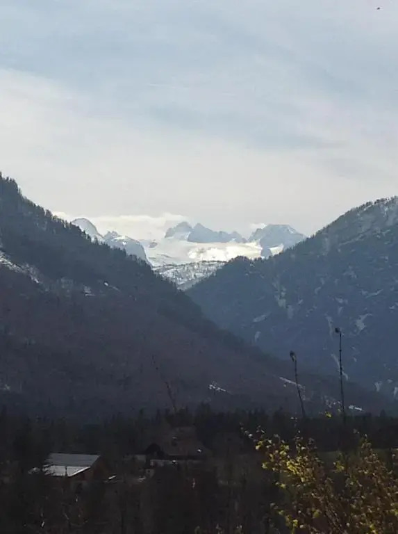 Dachsteinblick