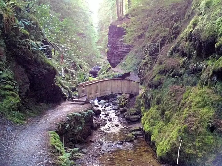 Pucks Glen Lodges - Log Cabins in a wonderful natural environment