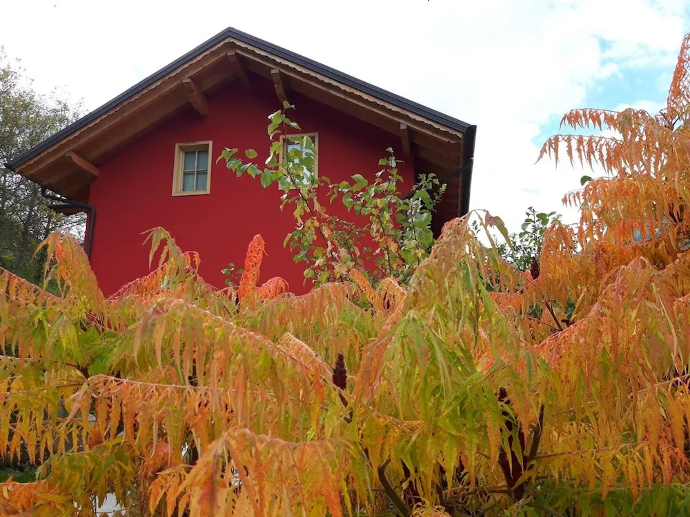 Activity B&B