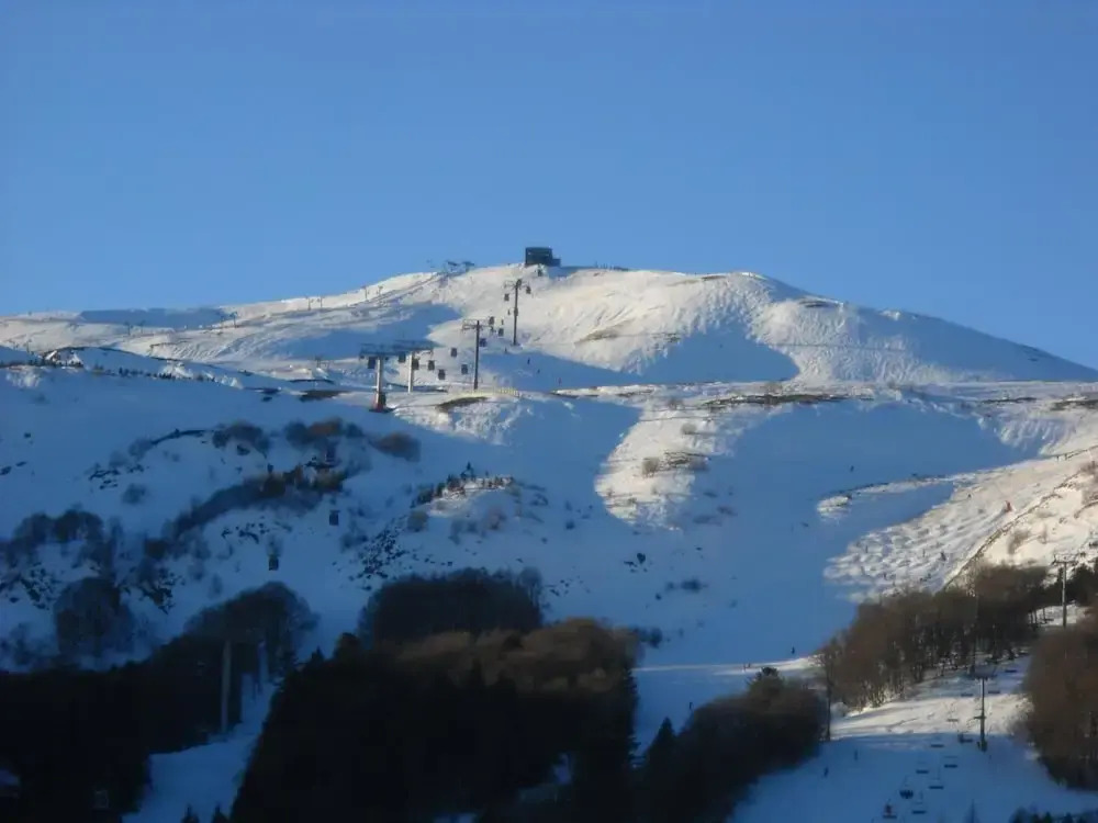 Les Aliziers