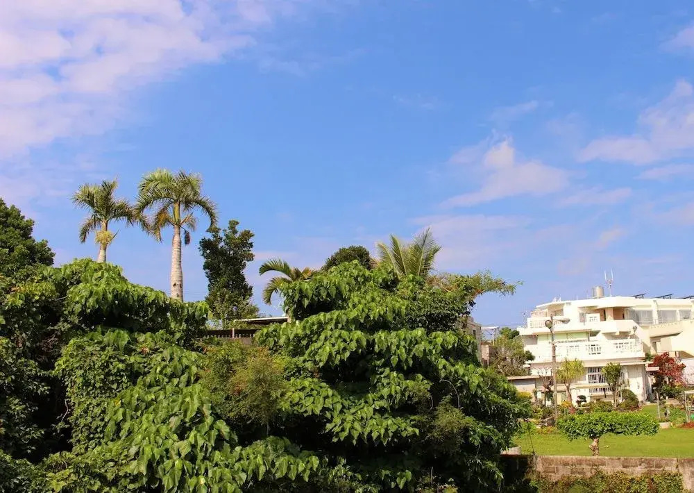Okinawa Guest House P's House - Hostel