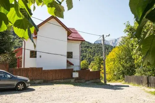 Vila Alma Azuga