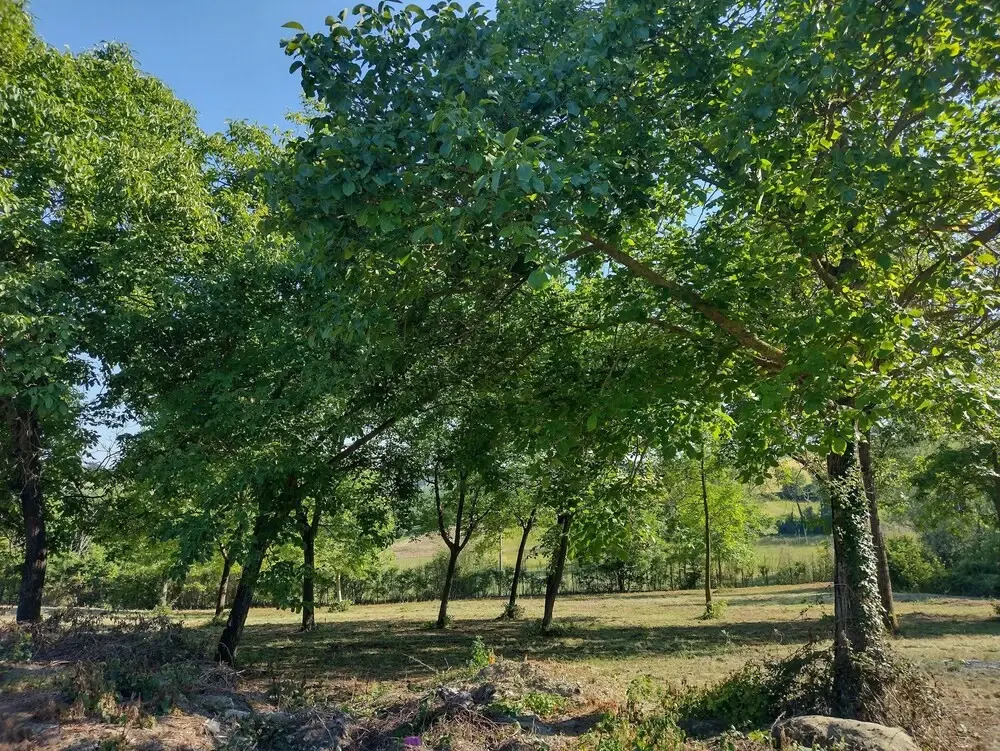Villa with Pool Monferrato BOTTO LIVING