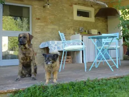 Cosy Chianti Retreat