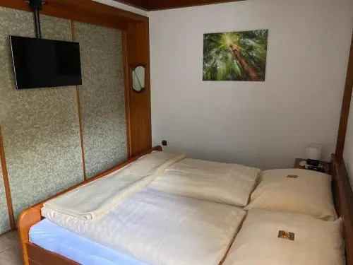 Hotel - Pension Scheiblechner