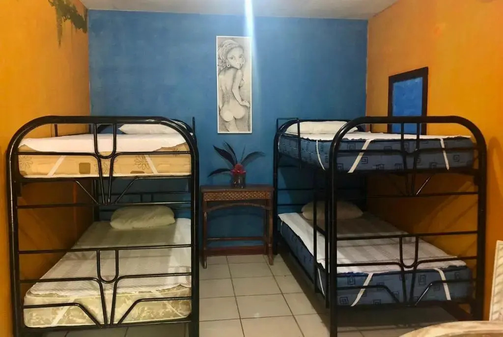 La Palapa Hut Nature Hostel