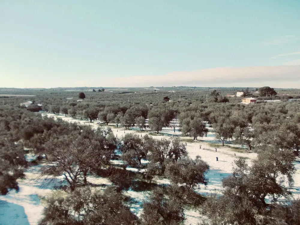 Masseria Chiusurella