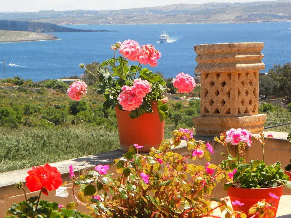 Great Seaviews Location