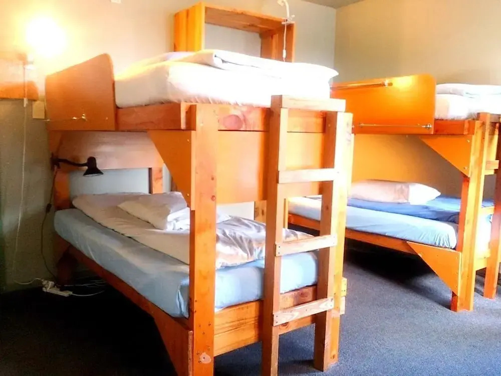 Kiwi House - Hostel