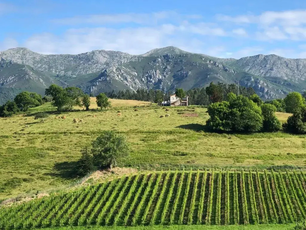 Asturias Estancias Naturales. Finca San Julian.