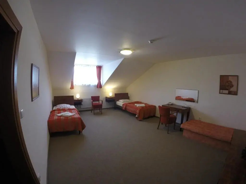Hotel Vion