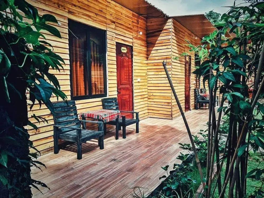 Golden Jungle House