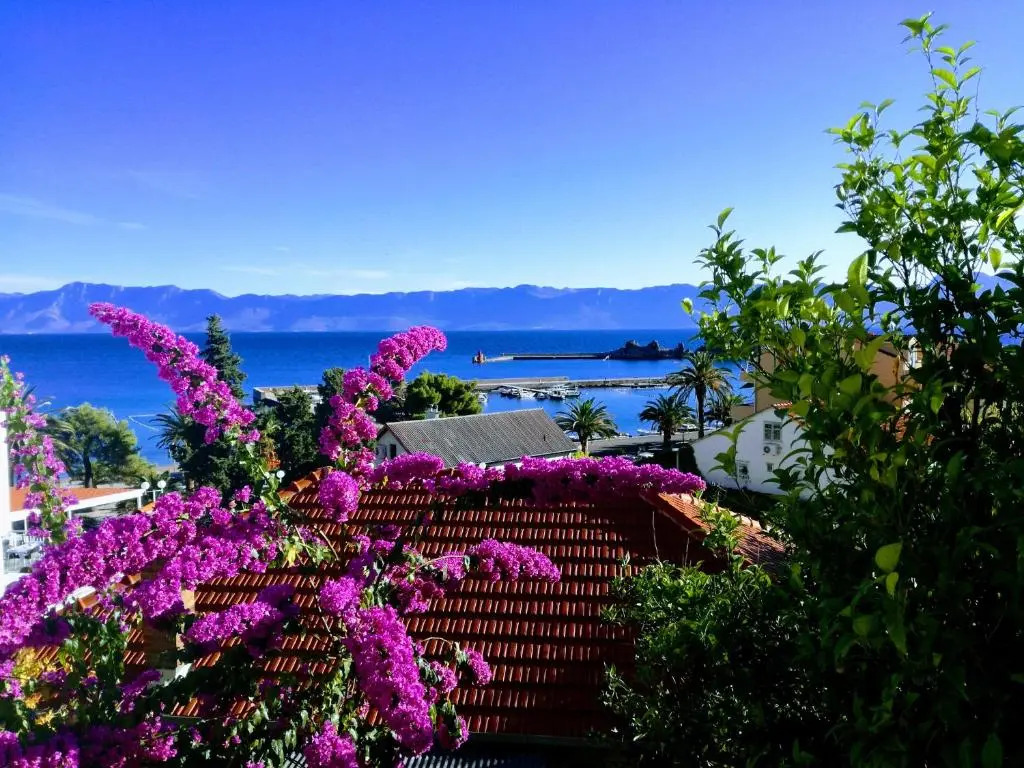 Apartments Panorama