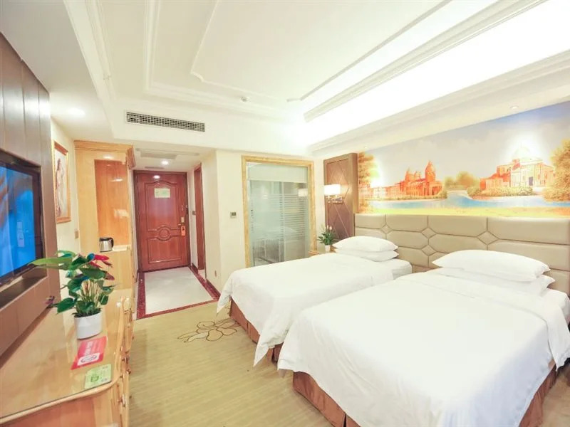 Vienna International Hotel (Wuhan Yangguang Yuhang)