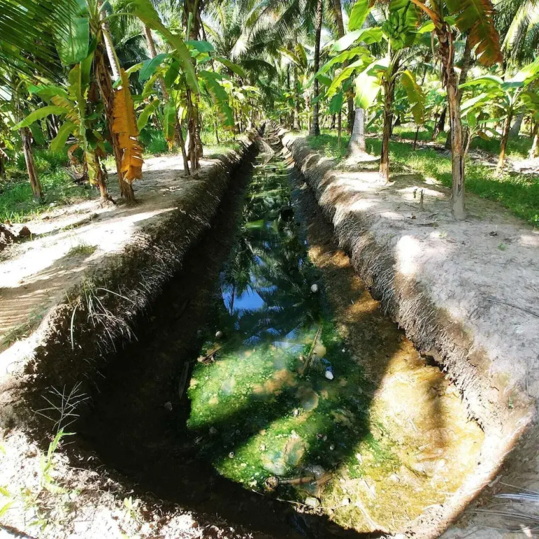 Coco Happy Farm