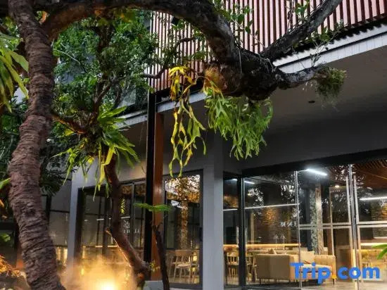 Lush inn Phuket