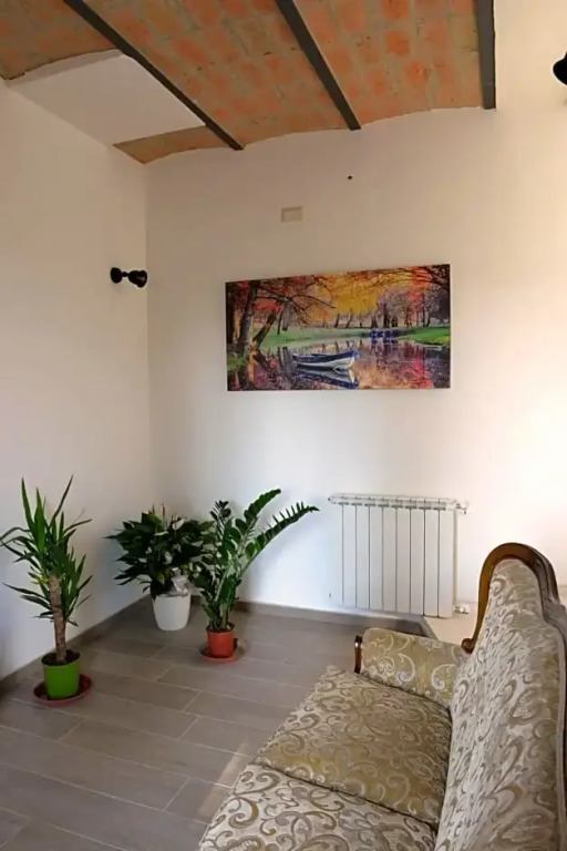il leccio