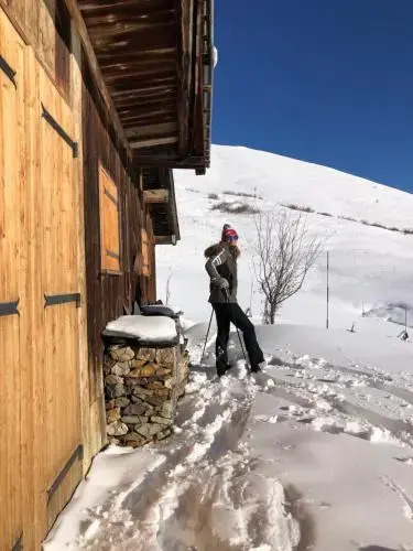 Chalet Skiopied