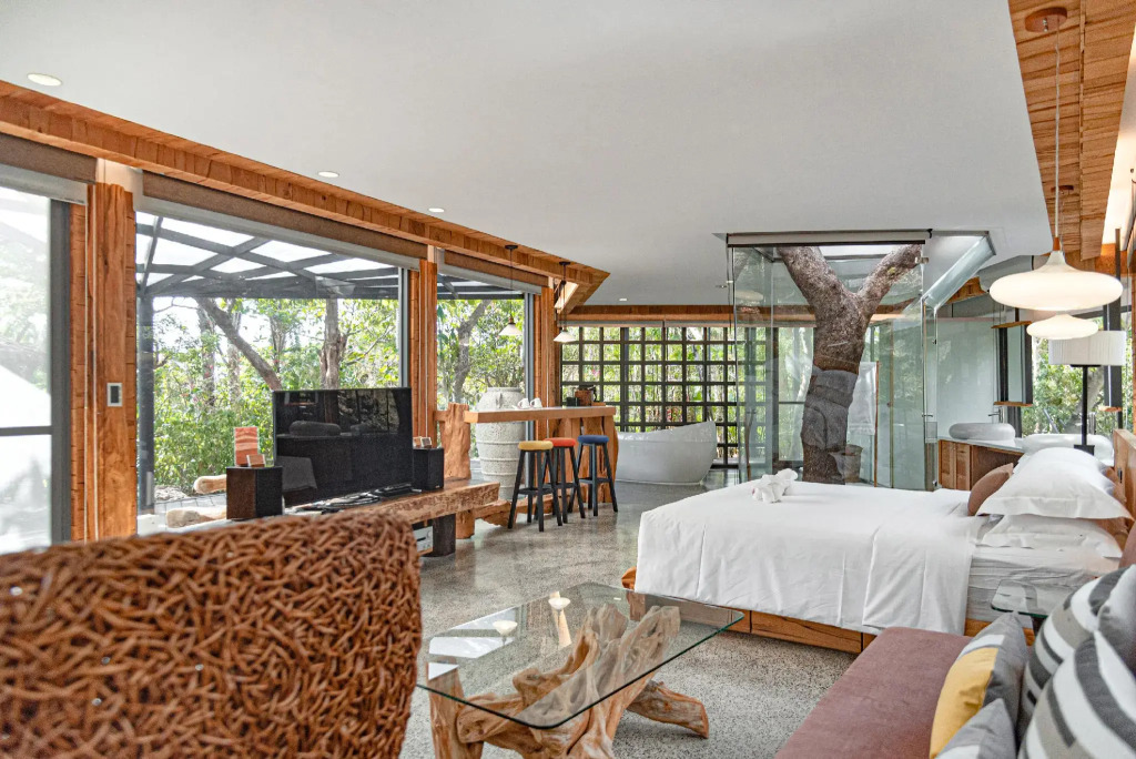 The House 15