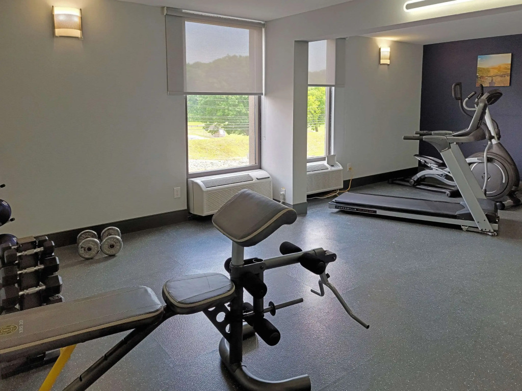 Comfort Inn & Suites Wyomissing-Reading