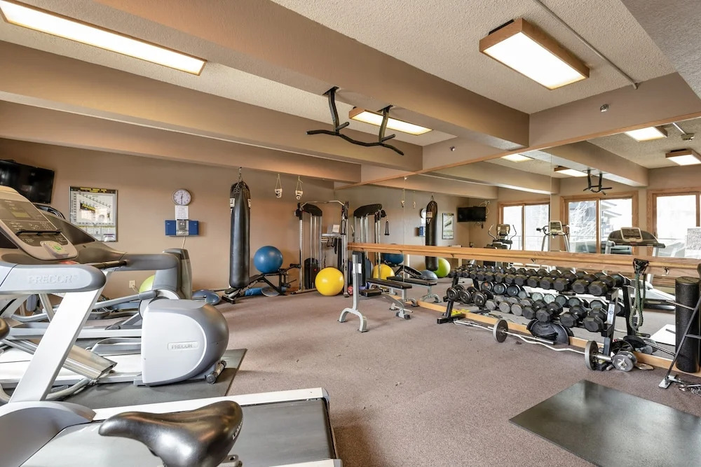 Central Aspen Condo Walk to Gondola & Ruby Park - LC5