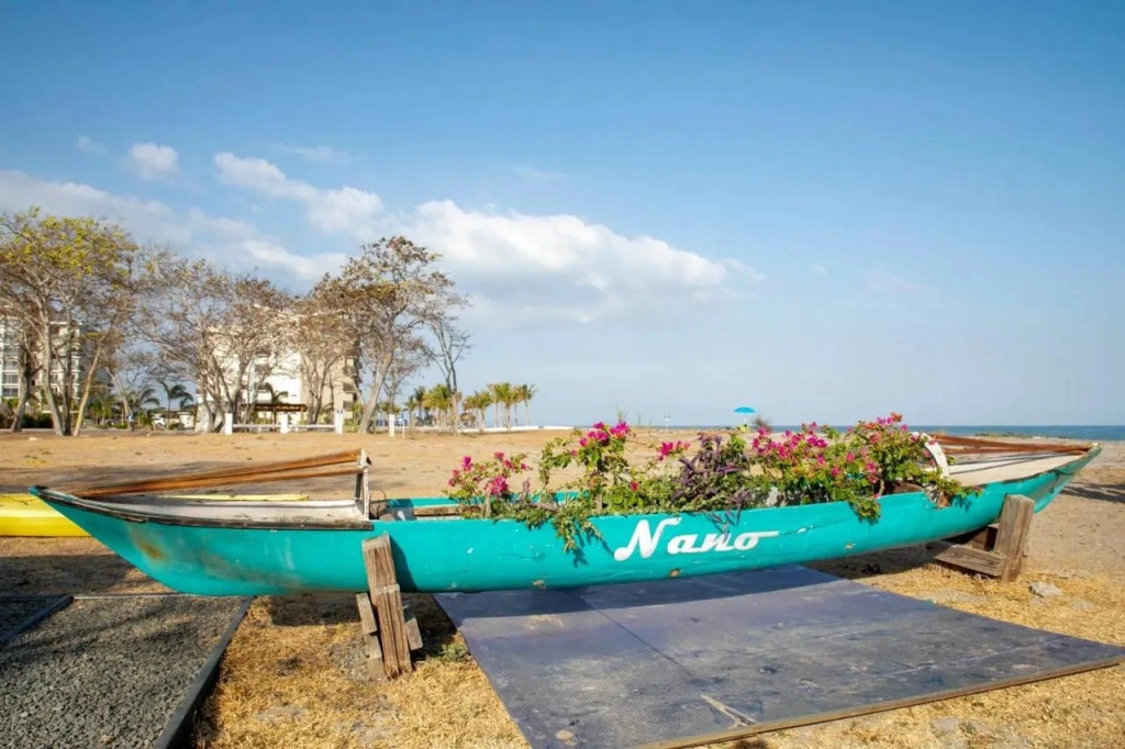 Playa Caracol Residences