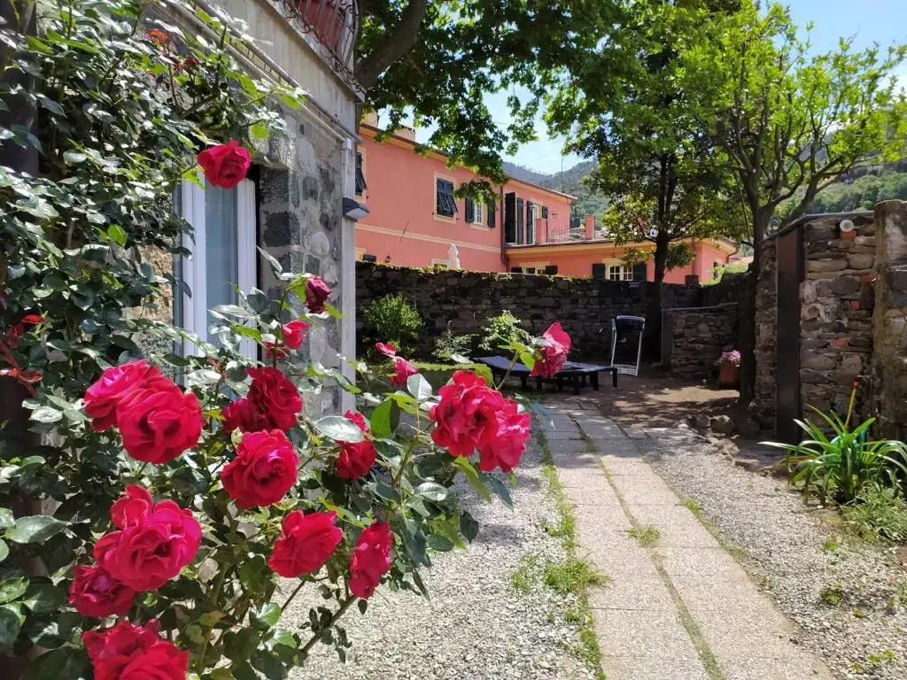 Dorothea House