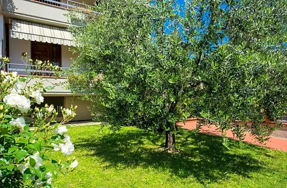 Bed & Breakfast Profumo DEstate