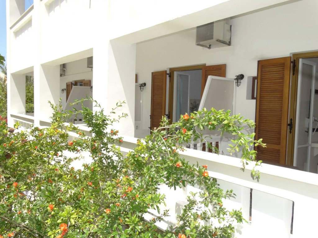 Naxos Lane Center