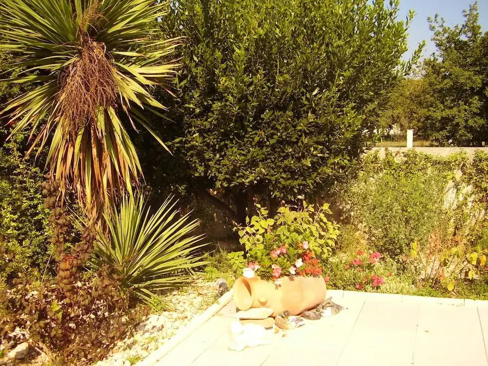House With 2 Bedrooms In Carpentras With Shared Pool Enclosed Garden And Wifi 31 Km From The Slopes