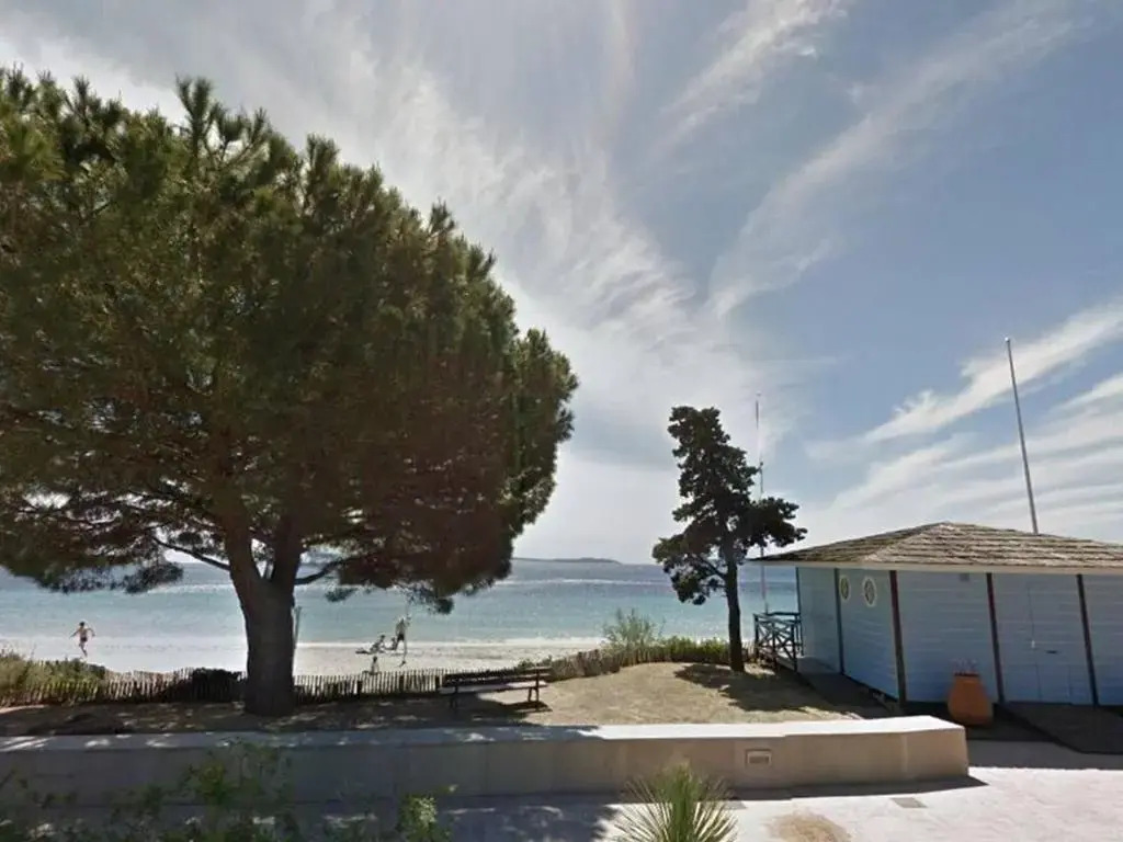 Appartement Le Lavandou, 2 pièces, 6 personnes - FR-1-251-377
