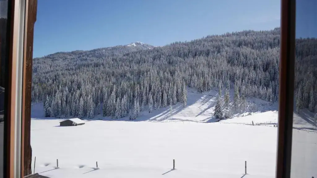 Mittereggalm