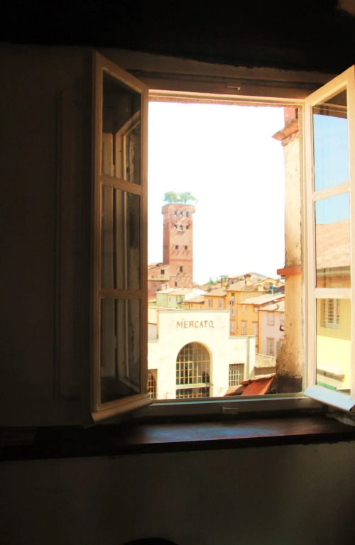 Altana Panoramic