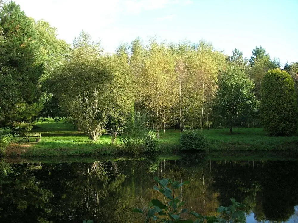 The Foxburgh