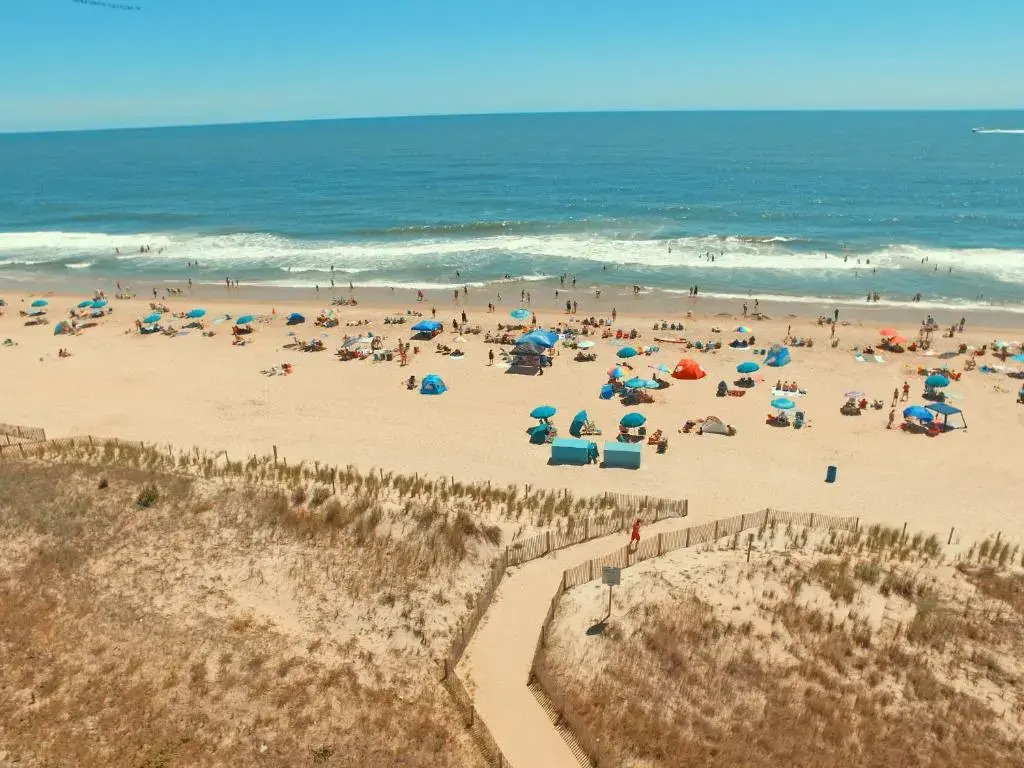 SeaLoft Oceanfront Hotel