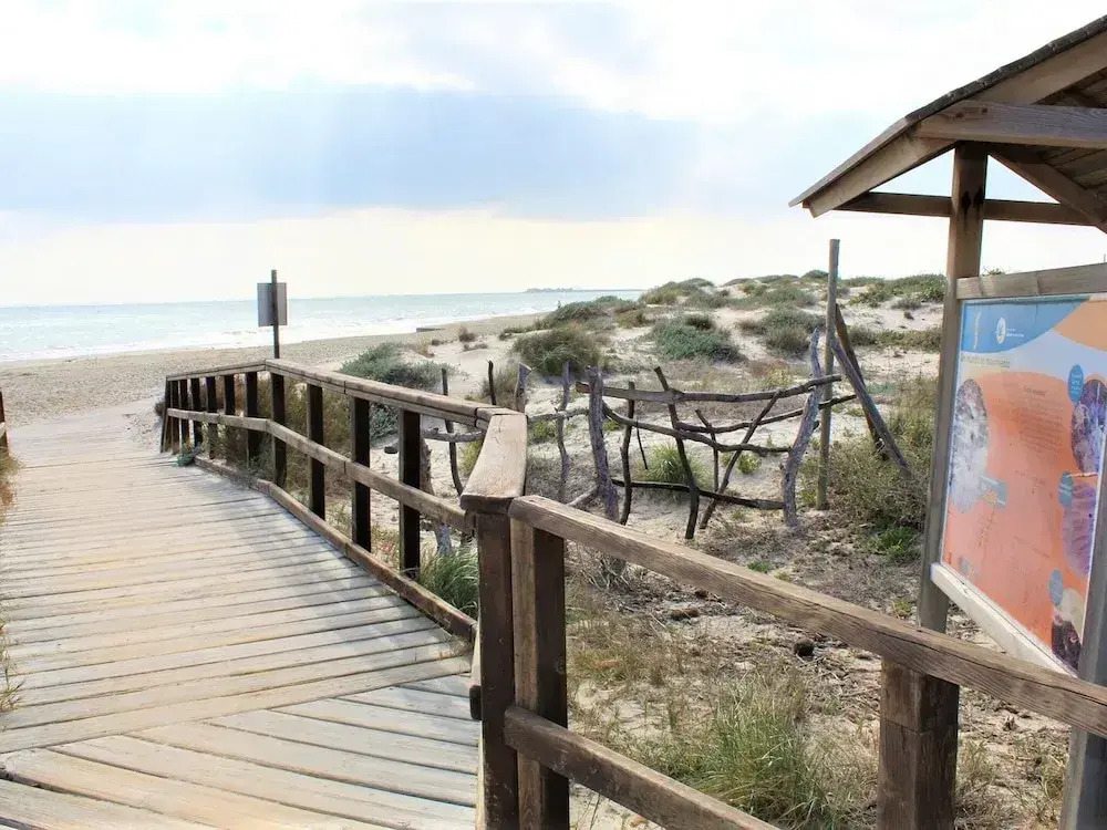 Penthouse in Sucina with Pool and Golf