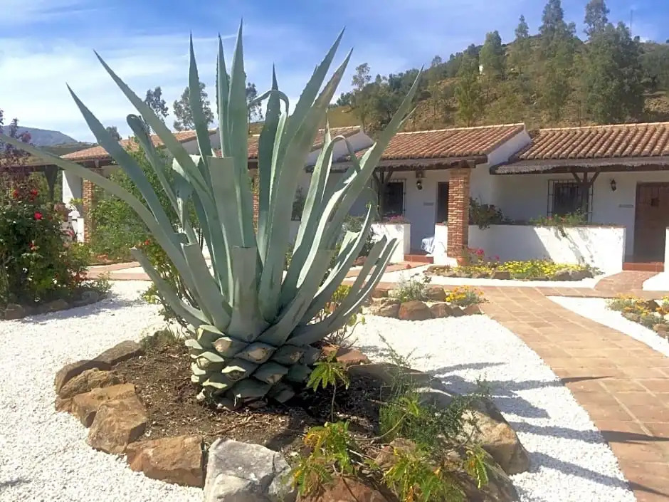 Boutique B&B Cortijo Valverde Álora