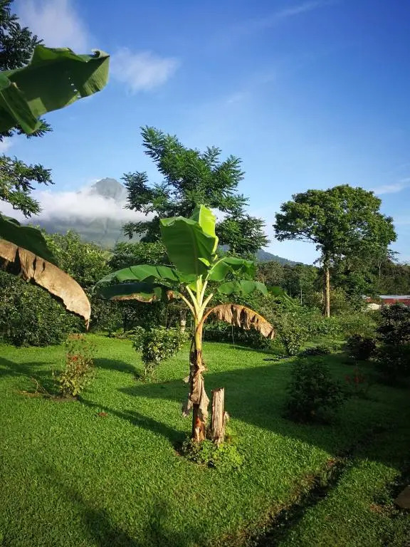 Tío Felix Eco Lodge